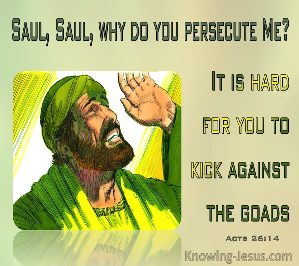 Acts 26:14 Saul, Saul Why Are You Persecuting Me (green)